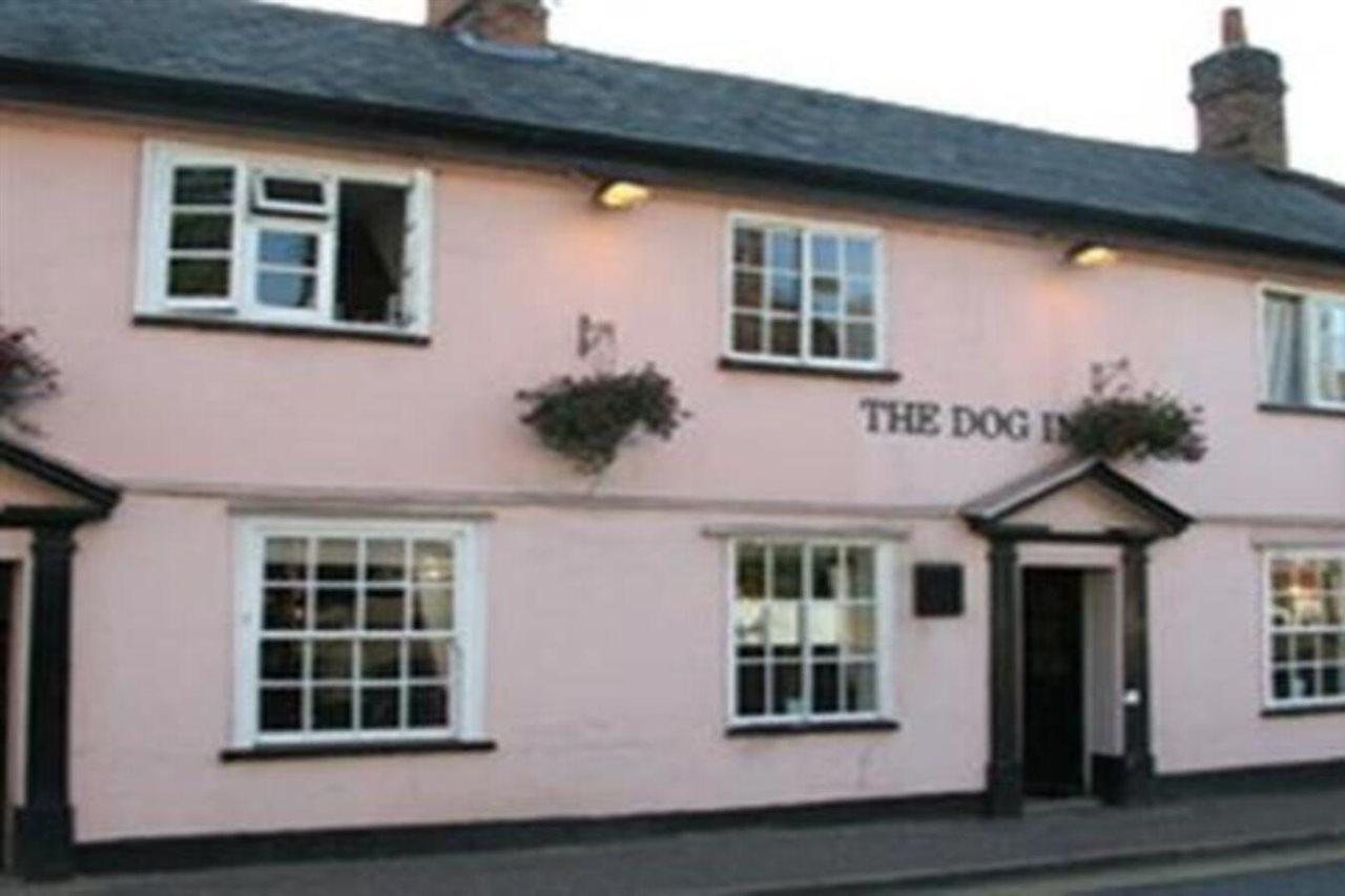 הלסטד The Dog Inn מראה חיצוני תמונה